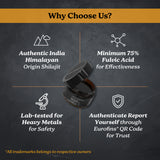 Pure Himalayan Shilajit Resin, 60 gm