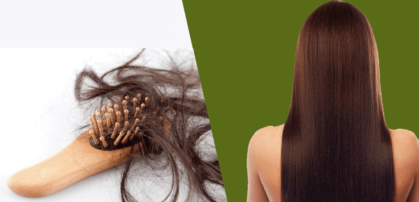 6 WAYS TO REDUCE HAIR LOSS & PROMOTE NATURAL HAIR GROWTH