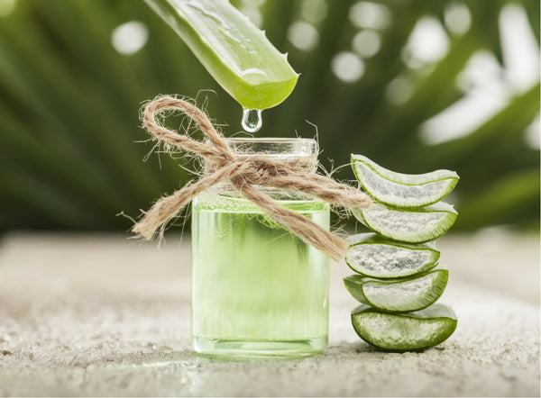 WHY ORGANIC ALOE VERA GEL IS THE WONDER HERB YOU NEED THIS SUMMER